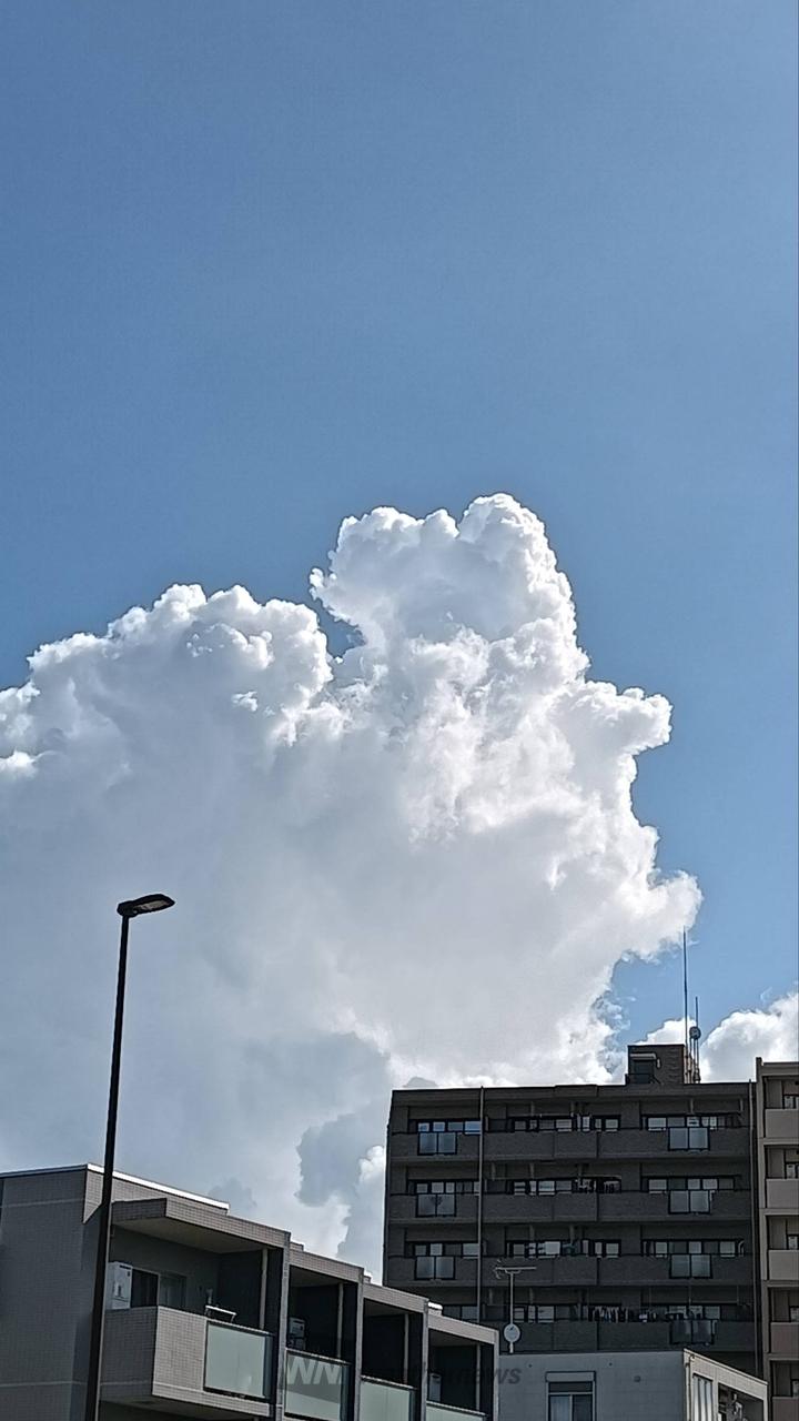 夏らしい入道雲 注目の空の写真 ウェザーニュース