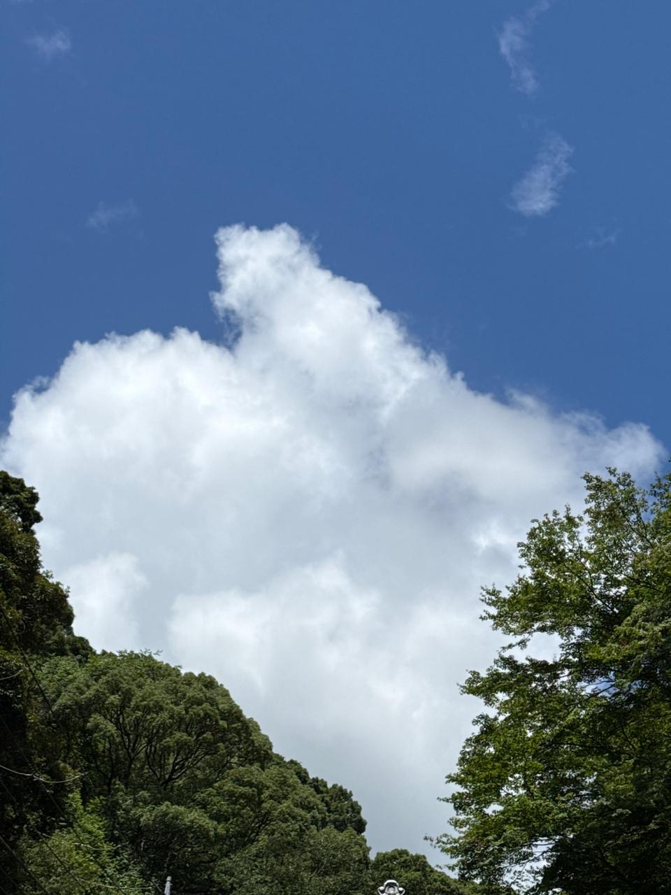夏らしい入道雲 注目の空の写真 ウェザーニュース