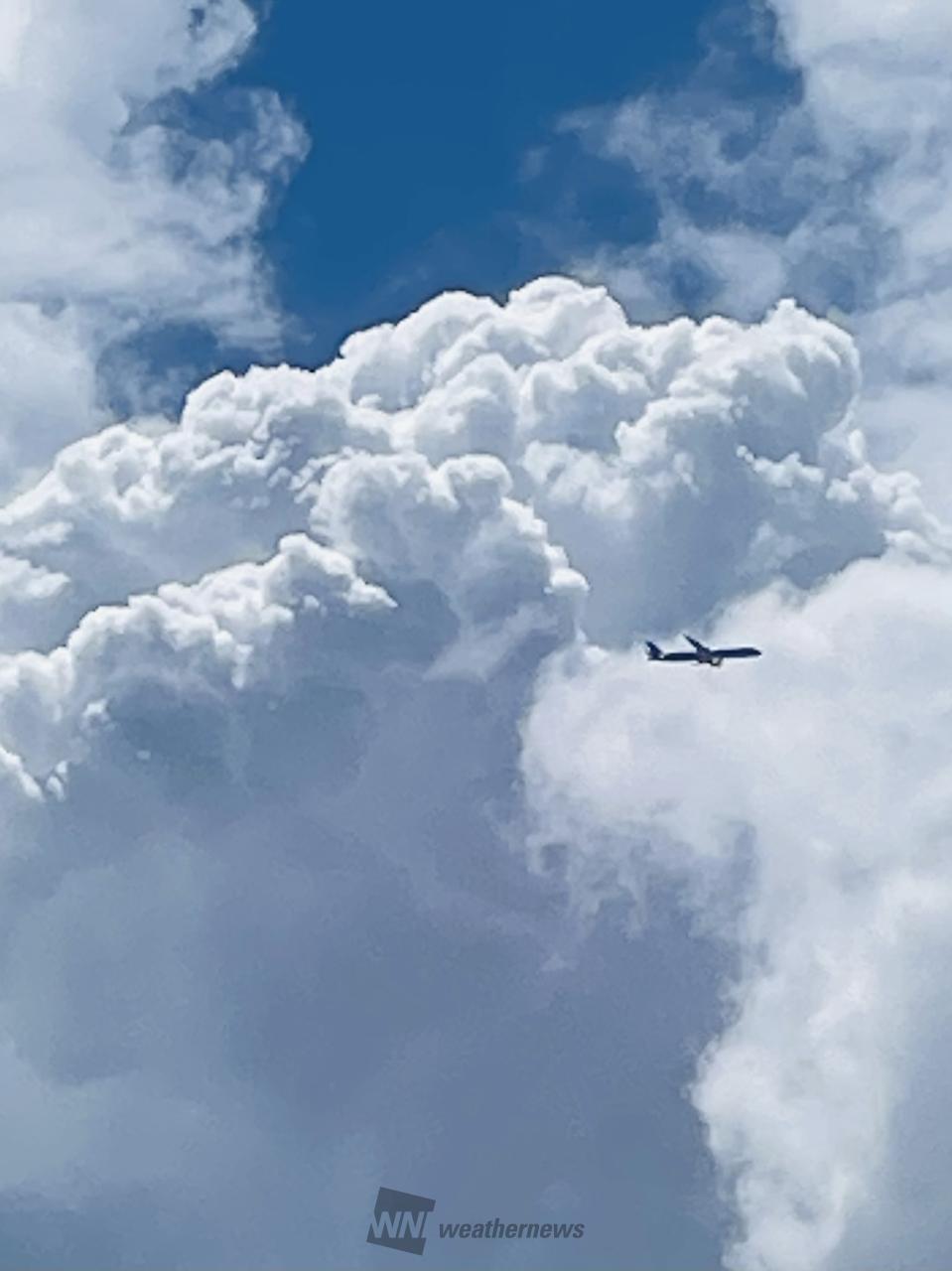 南の空 大きなもくもく雲 | 千葉県千葉市稲毛区 | R33 | ウェザーニュース