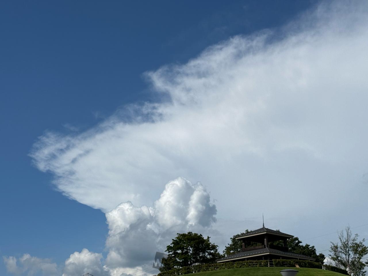 入道雲・雨柱 注目の空の写真 ウェザーニュース