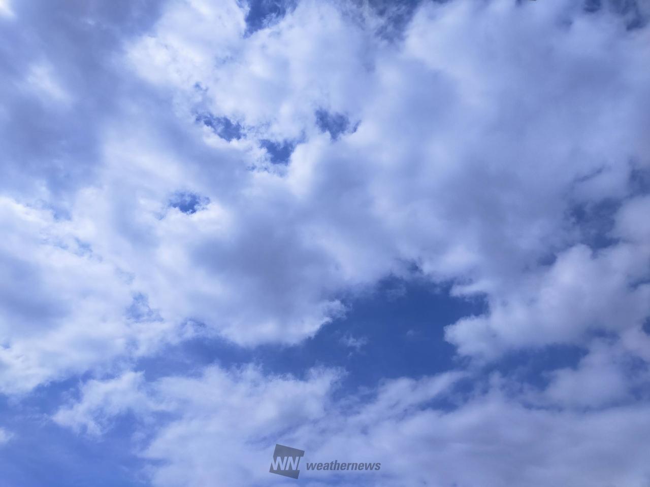 青い雲 朝なので鳥がたくさん鳴いています。雲がた | 岐阜県本巣市 | あやか