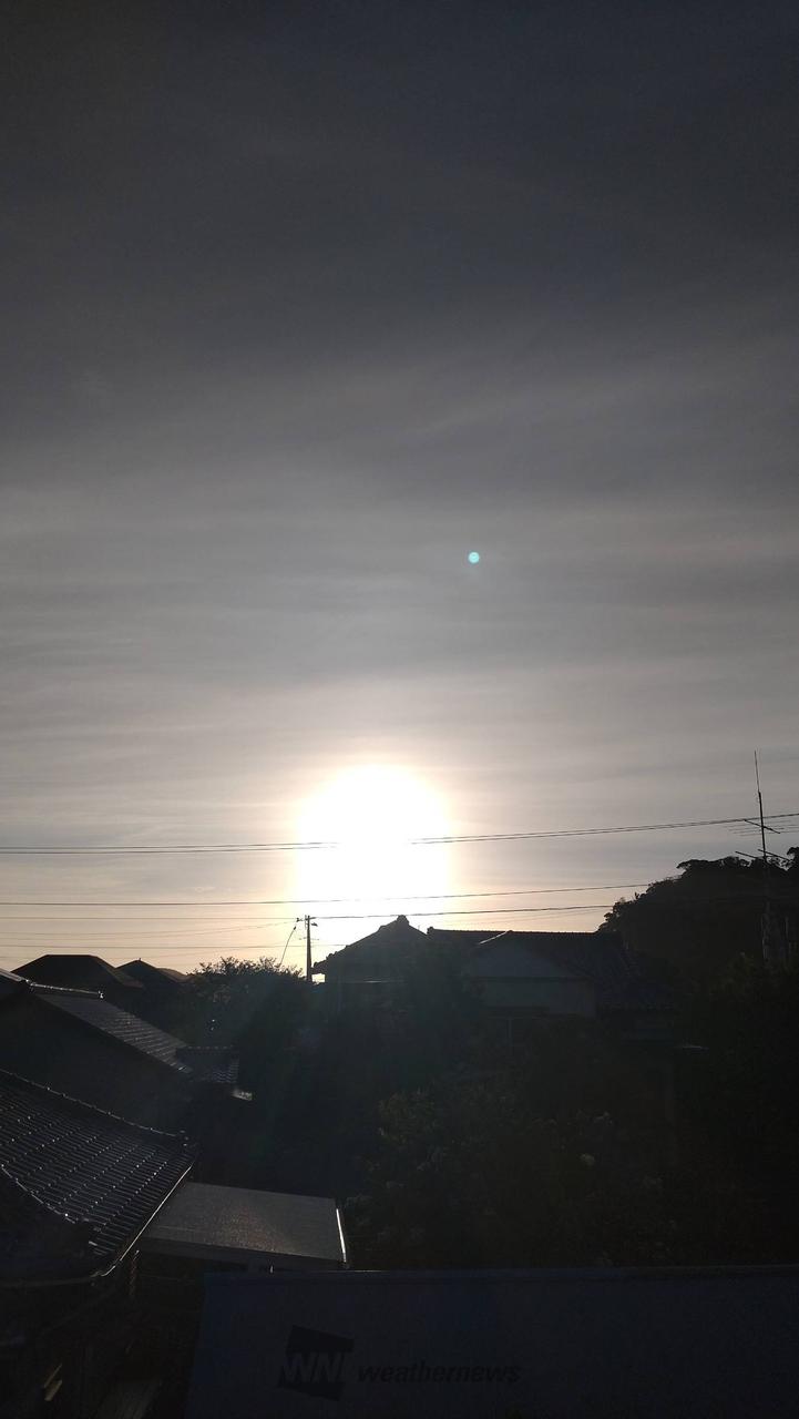 薄雲は広がっていますが、朝日はパワフルで | 千葉県館山市 | いちご