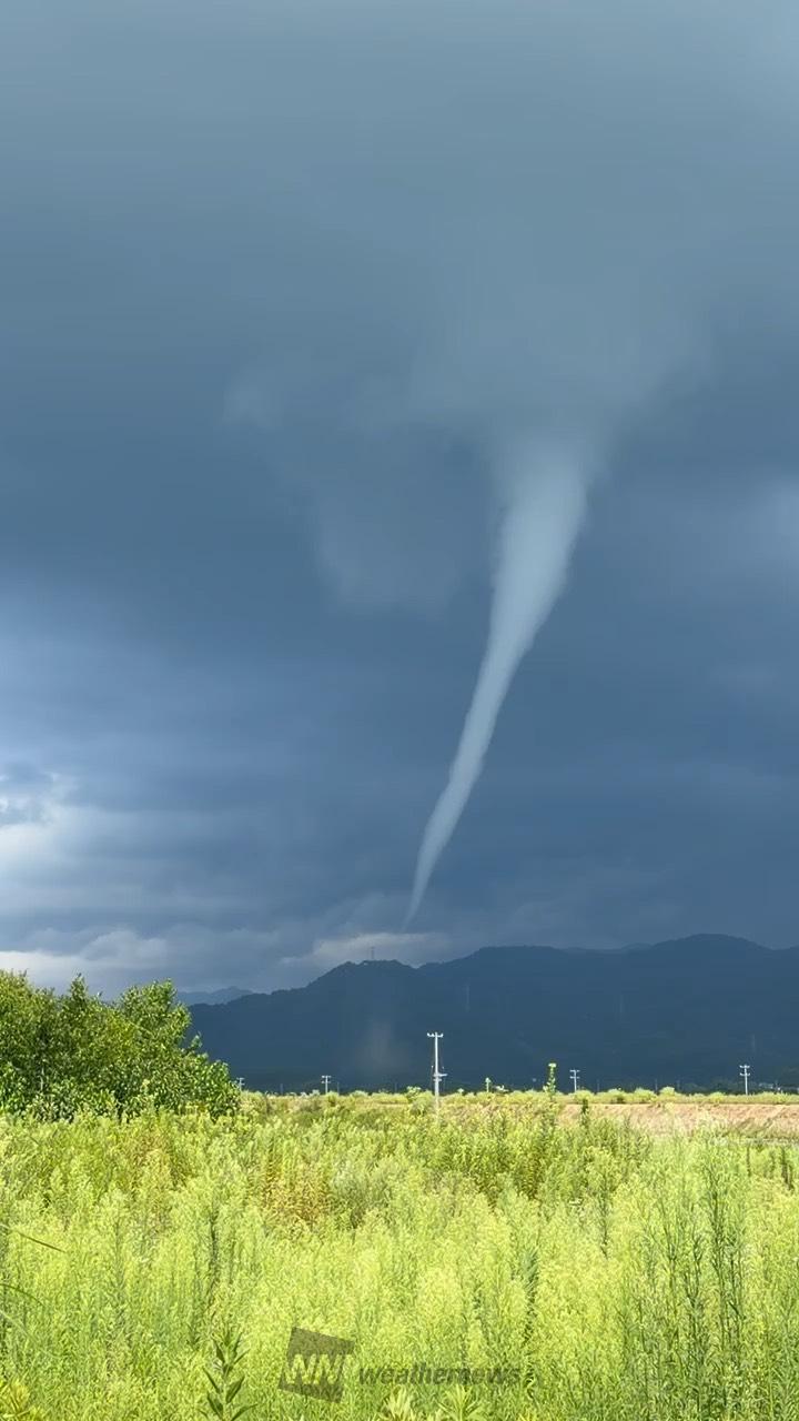 流れ雲　水郷　13.1尺 流れ雲 水郷 13.1尺 流れ雲 水郷 13.1尺 流れ雲 水郷 13.1尺 Yahoo