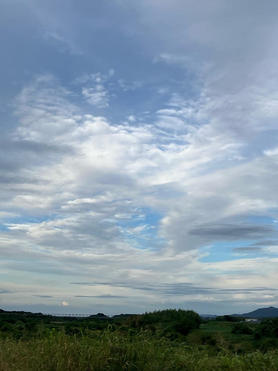 今日は比較的過ごし...