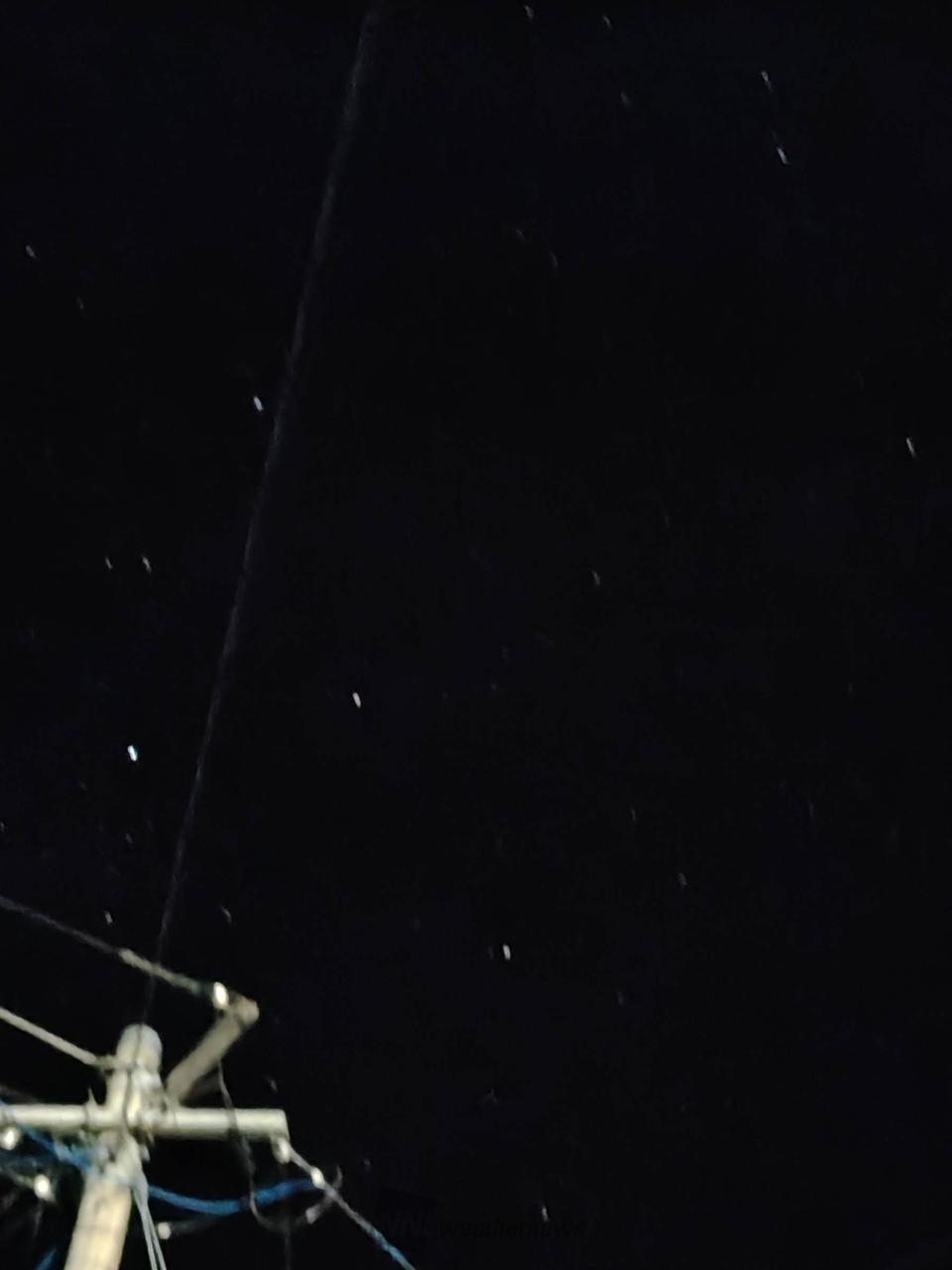 星が綺麗です。日...