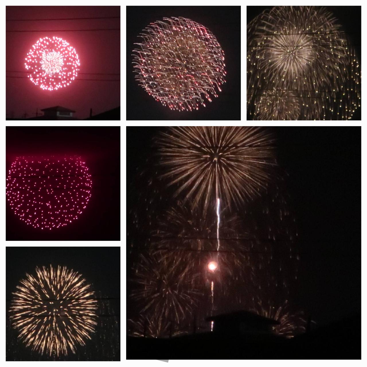 米子がいな祭りの花...