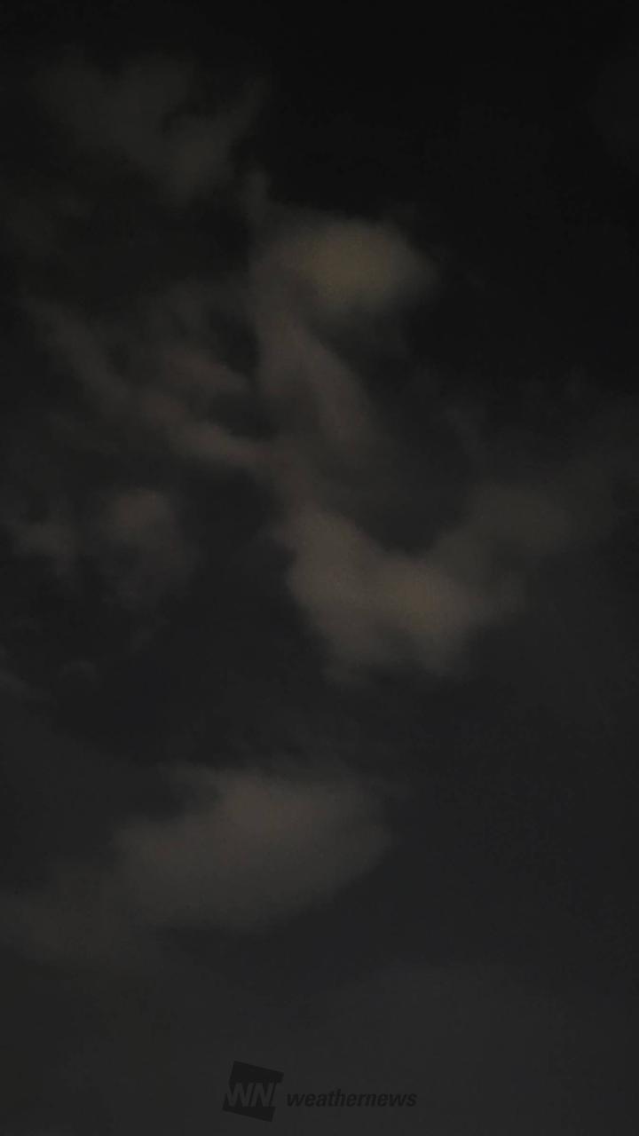 朝から降っていた雨...