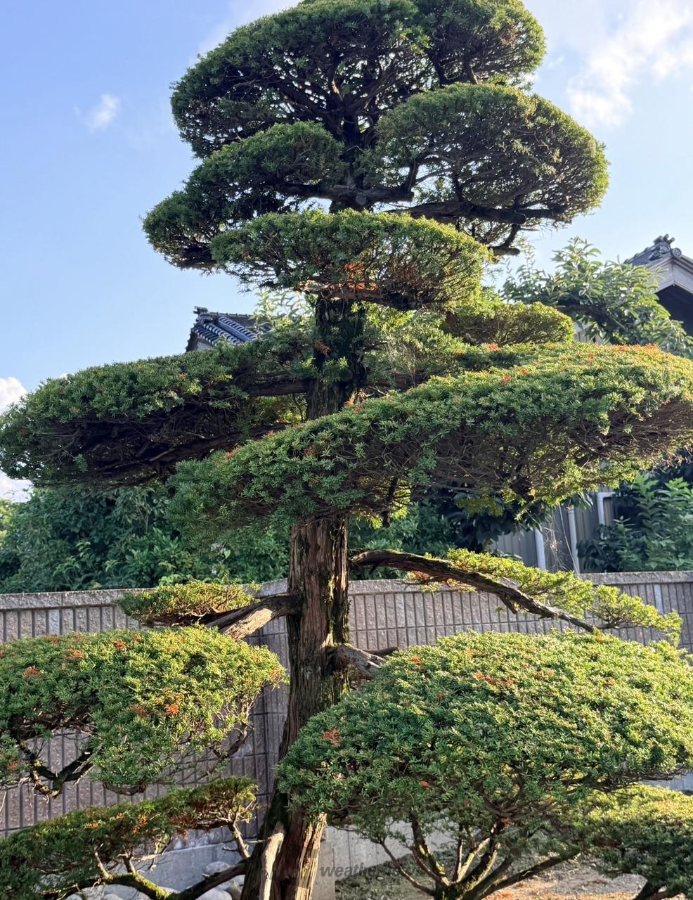 夏休みを満喫 お...