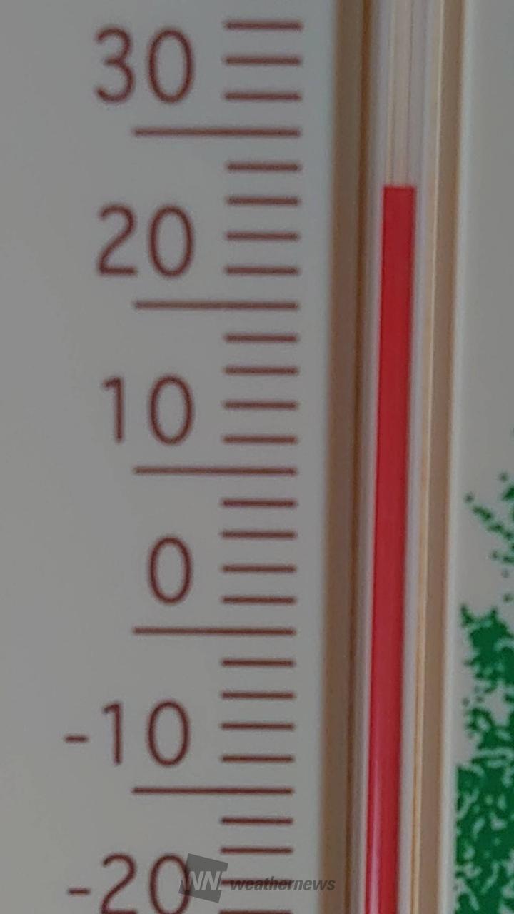 ここ数日は一時期の...