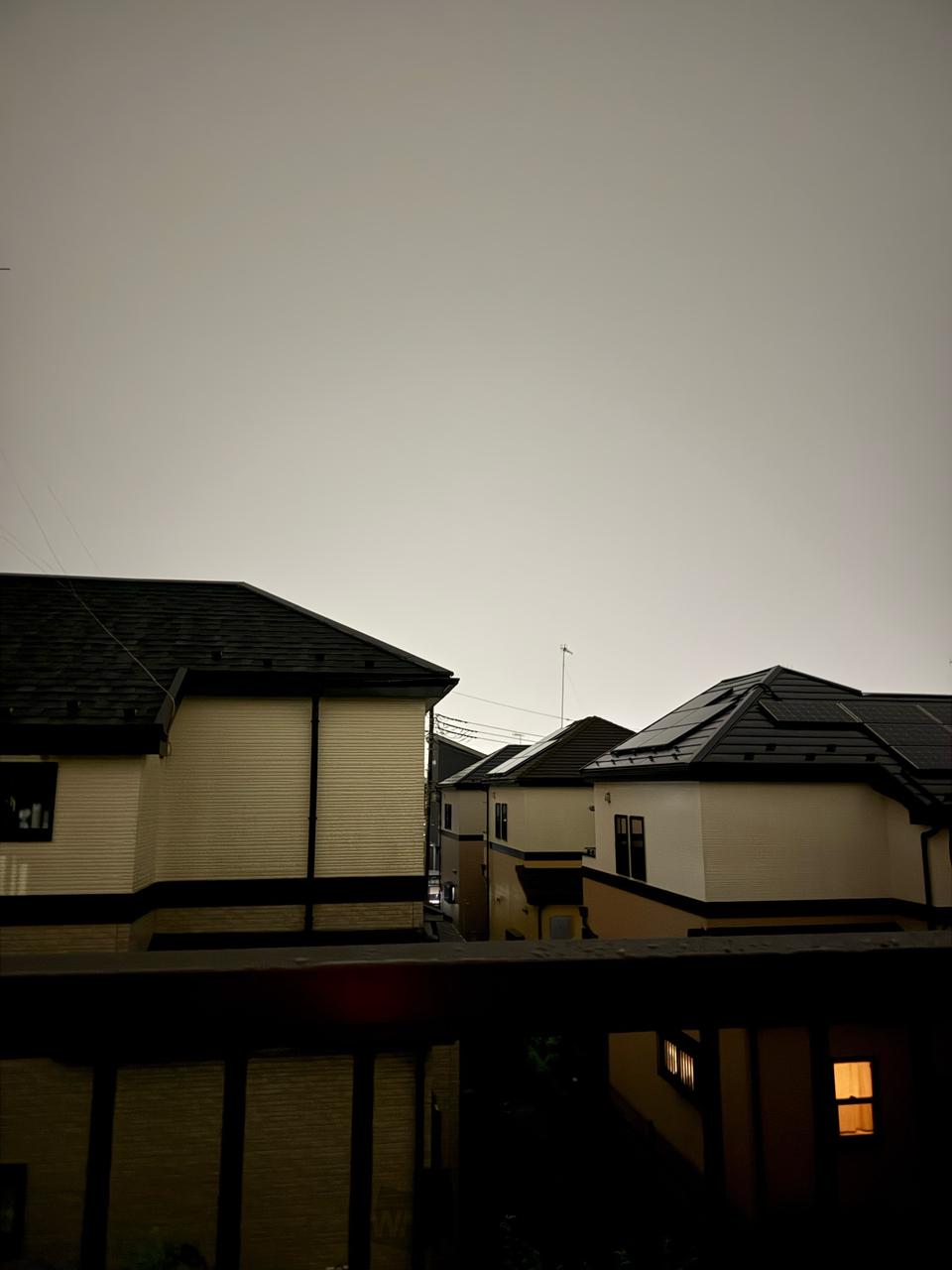 写真は昨日の21:...