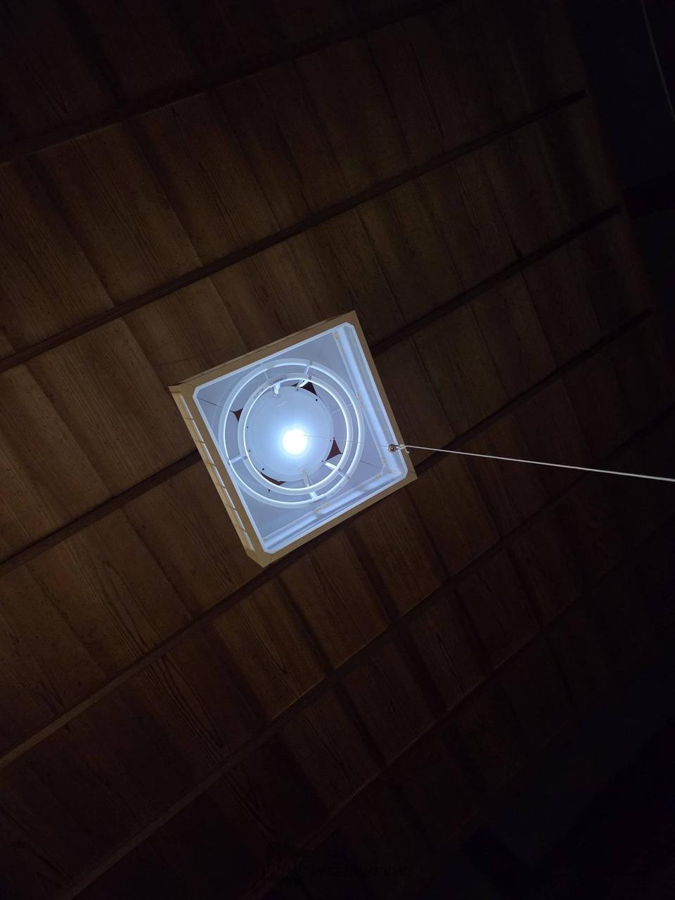 びっくりした❗ド...