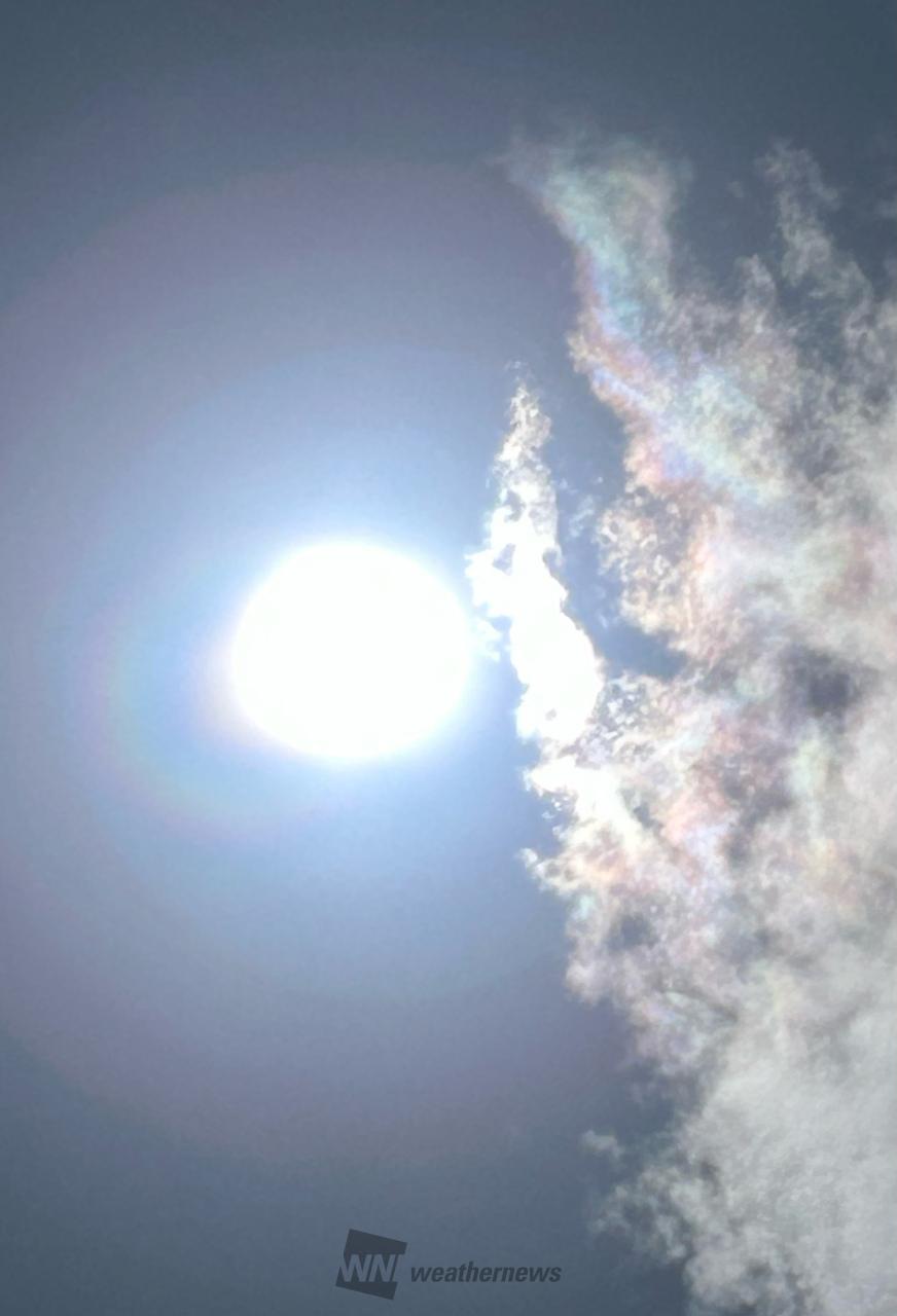 柏 市 の 今日 の 天気