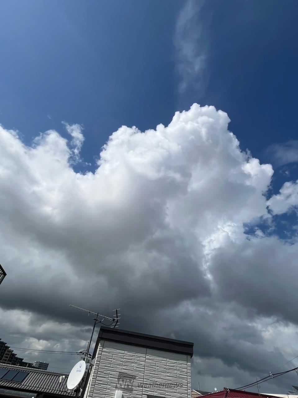 こんにちは、 入道雲が接近し風が強くなっ | 東京都江戸川区 | 麻亜沙