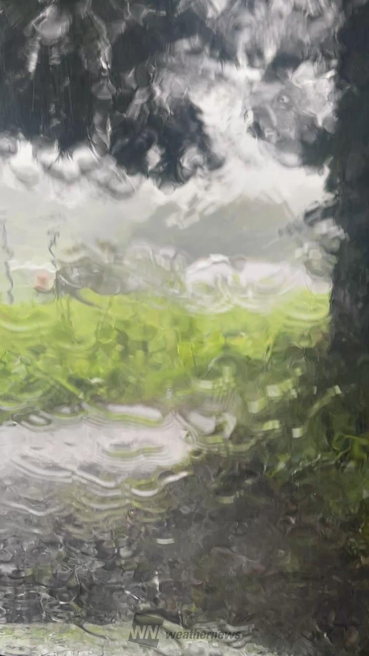 今日も急な強雨に注意 注目の空の写真 ウェザーニュース