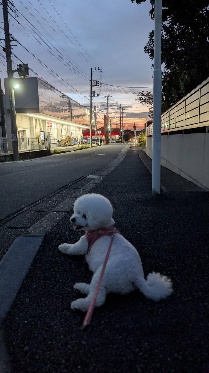 千葉 県 松戸 市 天気