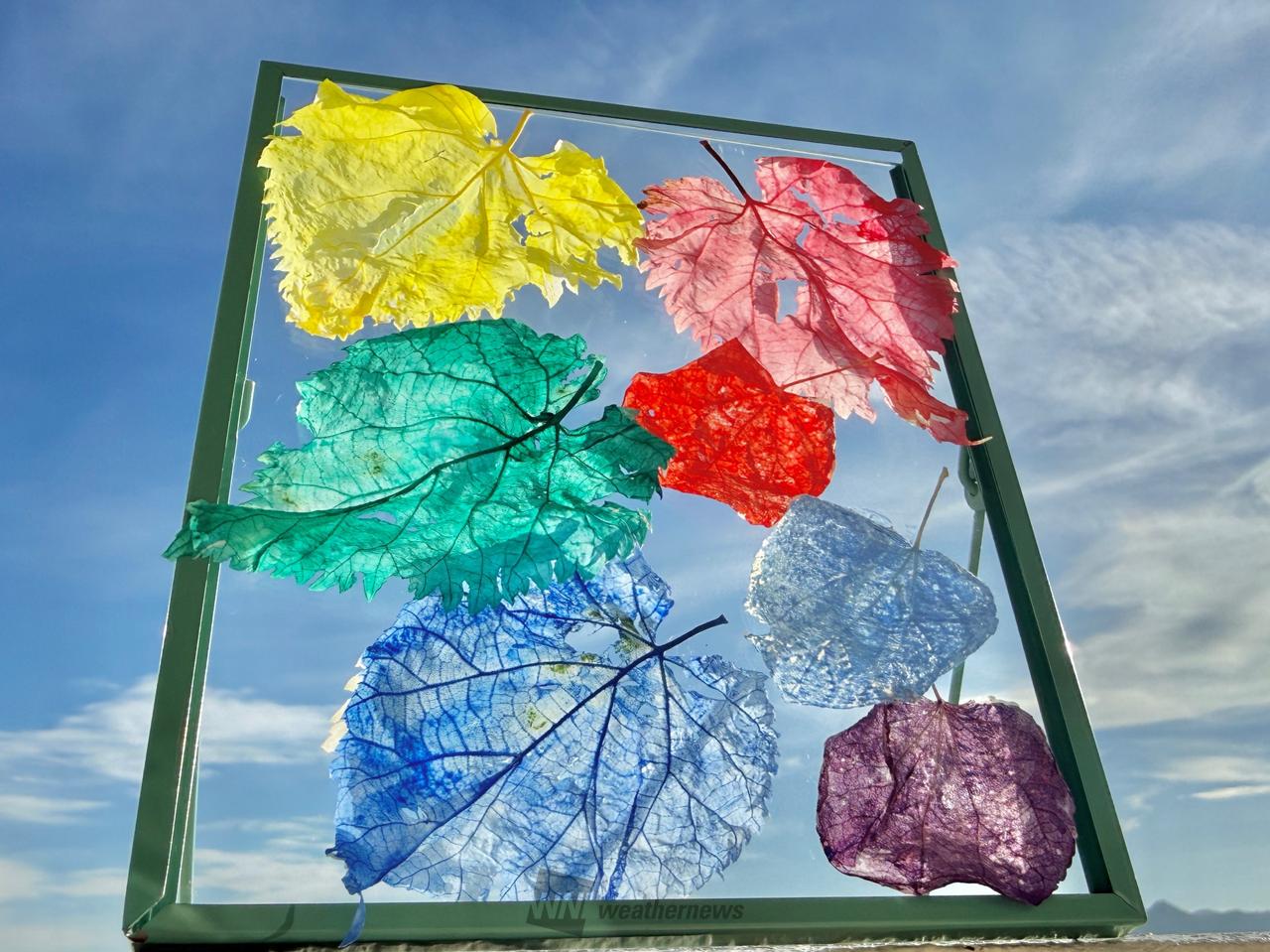 紫陽花と虹色のアンブレラ他レジンキーホルダー計9点 レジン 押し花 虹色