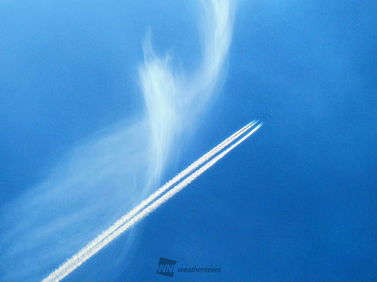長〜い飛行機雲✈️...
