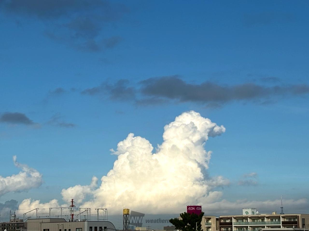 夏の雲画廊〜〇〇に似てる！〜 注目の空の写真 ウェザーニュース