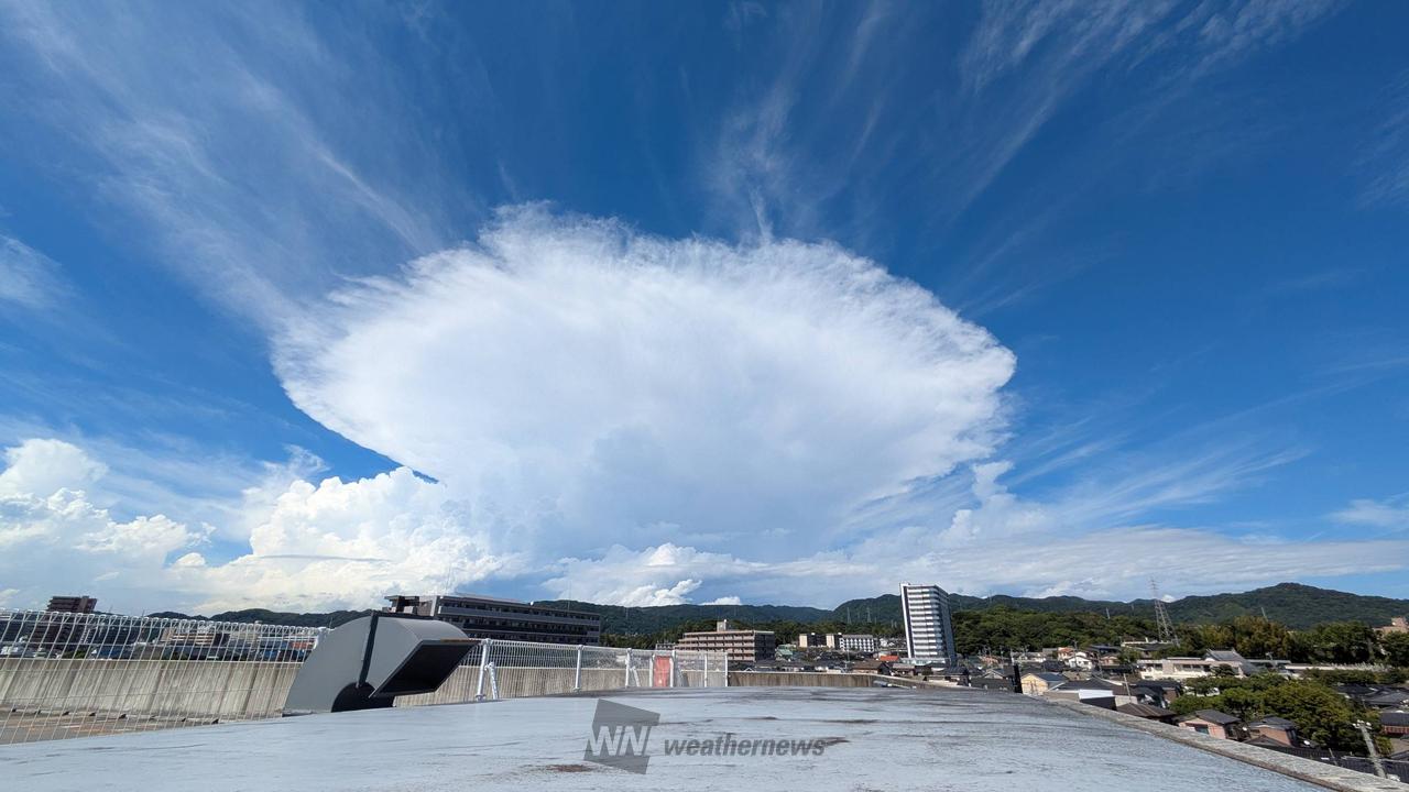 入道雲・かなとこ雲 注目の空の写真 ウェザーニュース