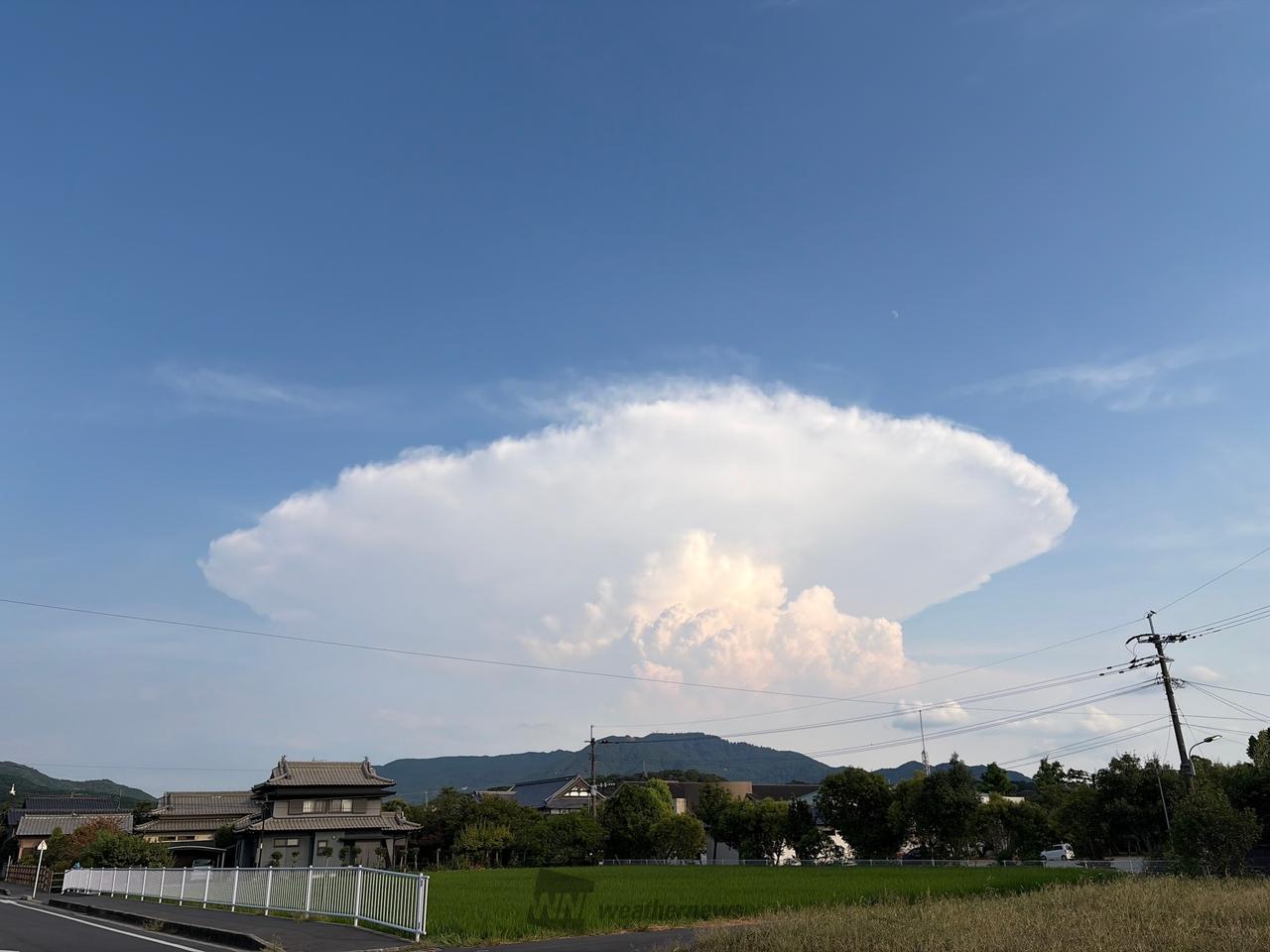 入道雲・かなとこ雲 注目の空の写真 ウェザーニュース
