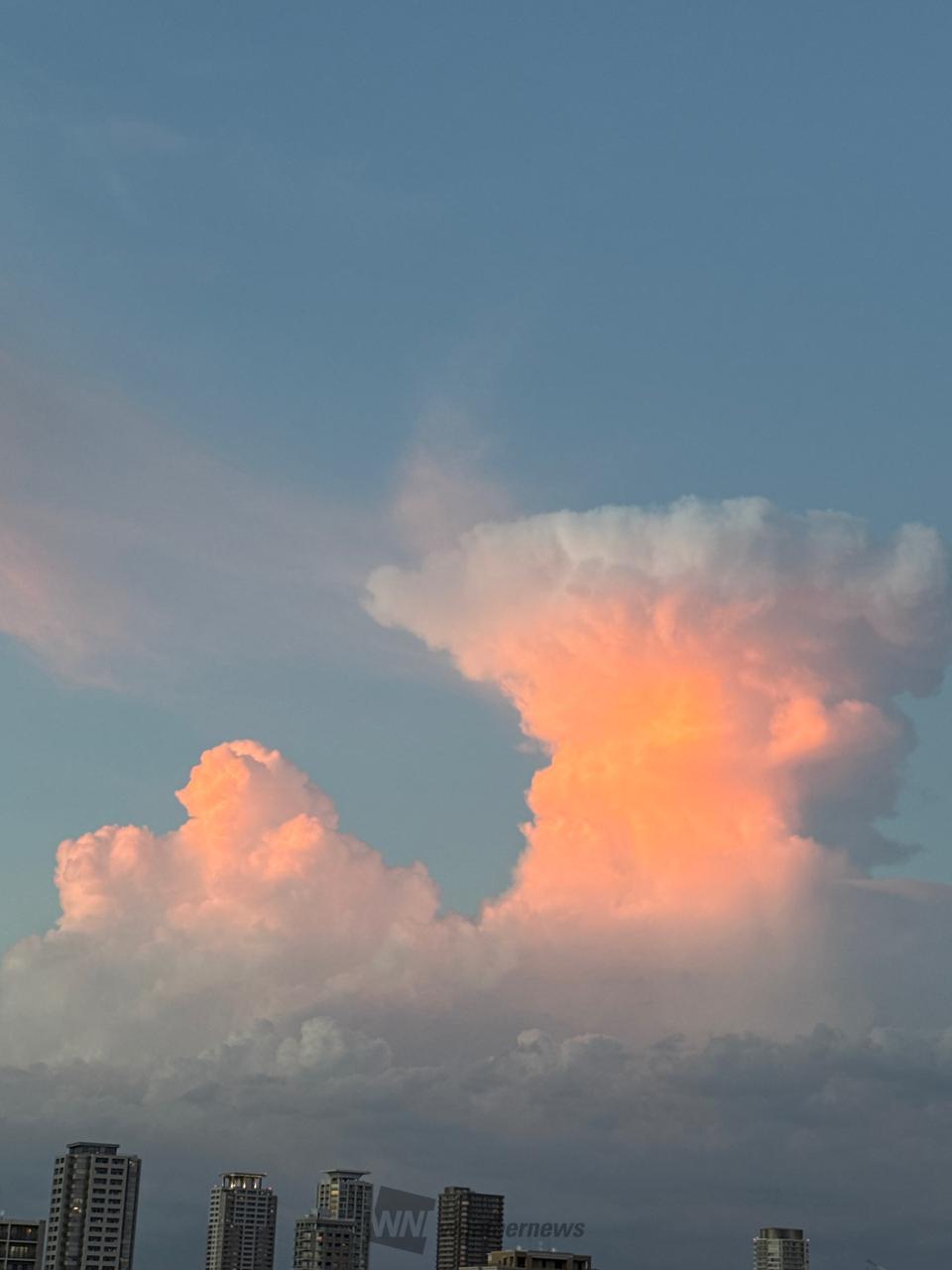 入道雲・かなとこ雲 注目の空の写真 ウェザーニュース