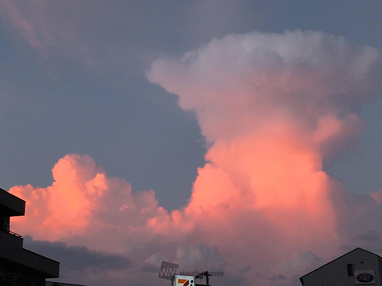 入道雲・かなとこ雲 注目の空の写真 ウェザーニュース