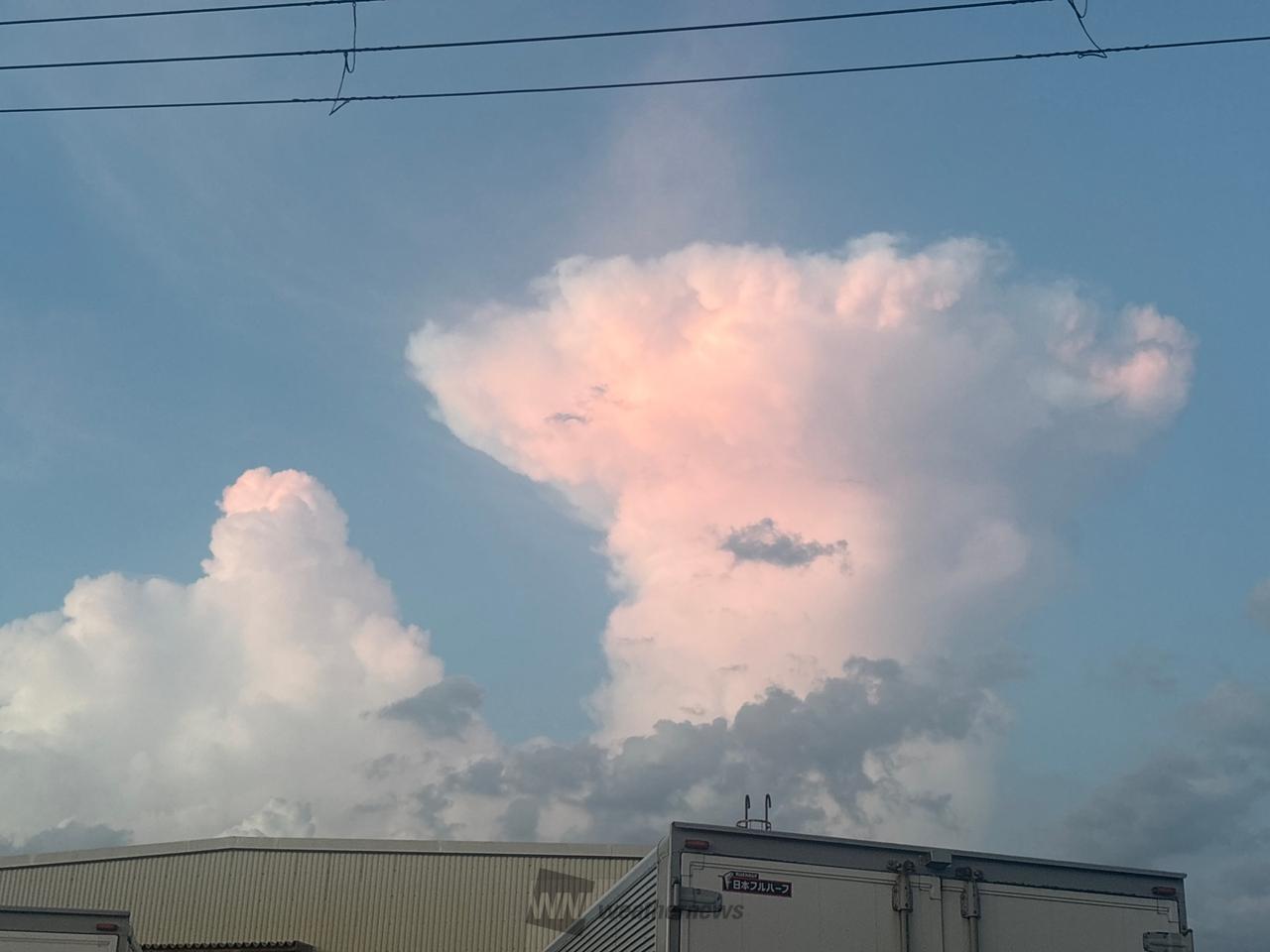 入道雲・かなとこ雲 注目の空の写真 ウェザーニュース