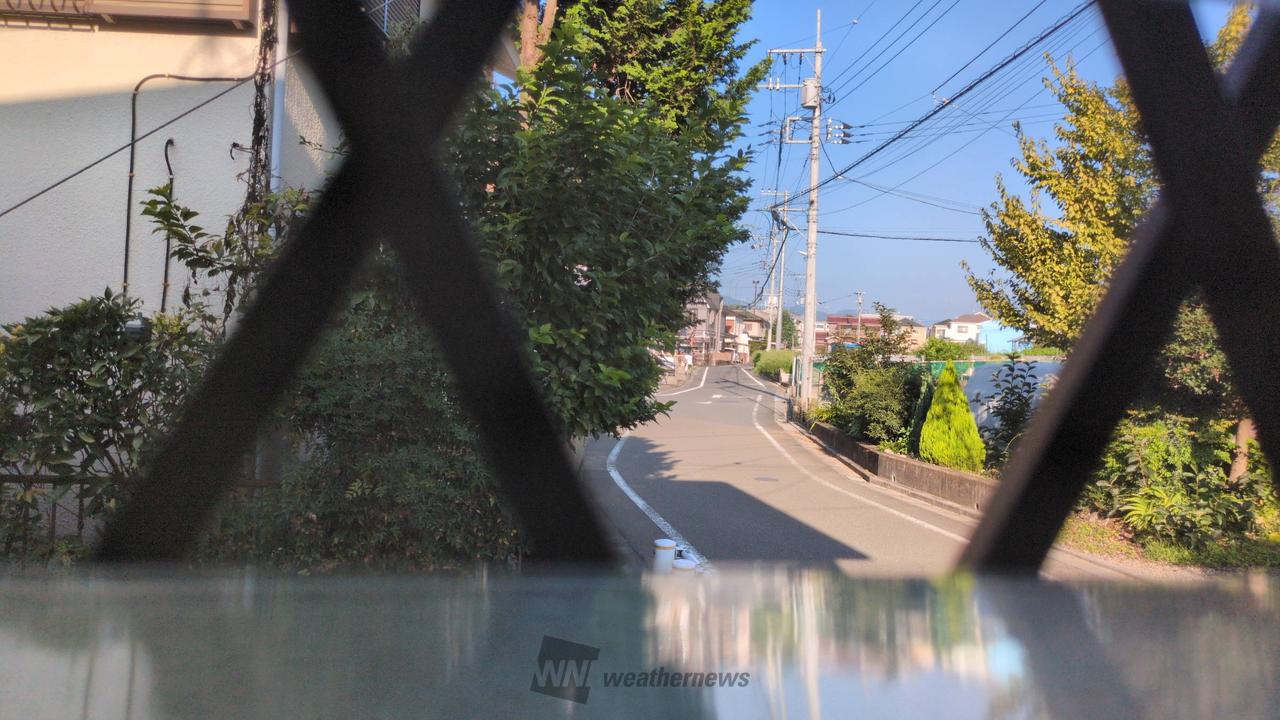 ウェザー ニュース 八王子