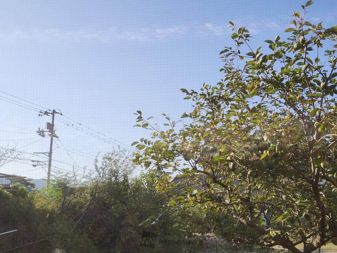 香川 県 坂出 市 天気