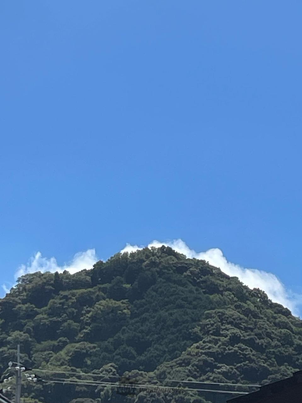 ウェザー ニュース 山口 市