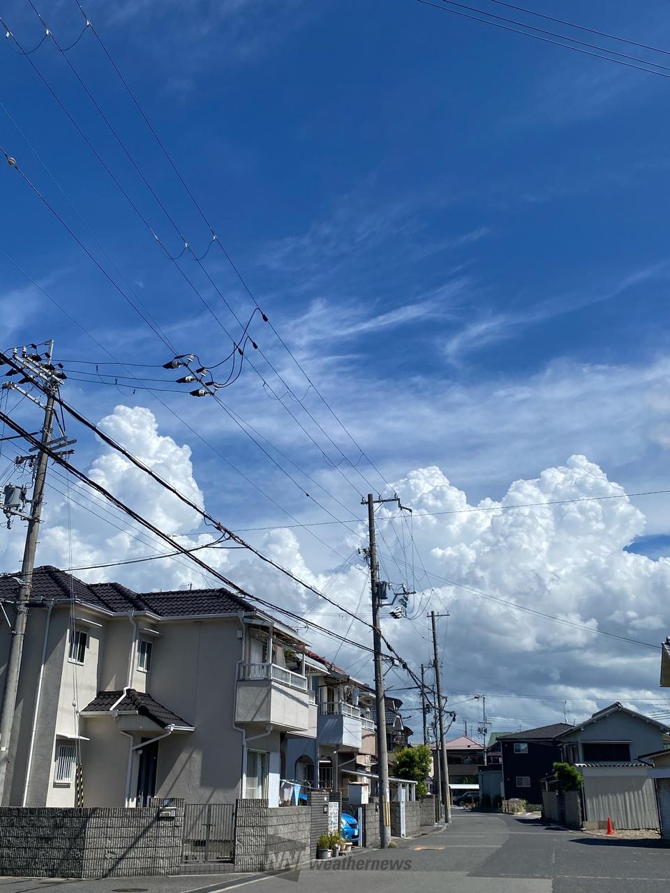 今日 の 天気 岸和田