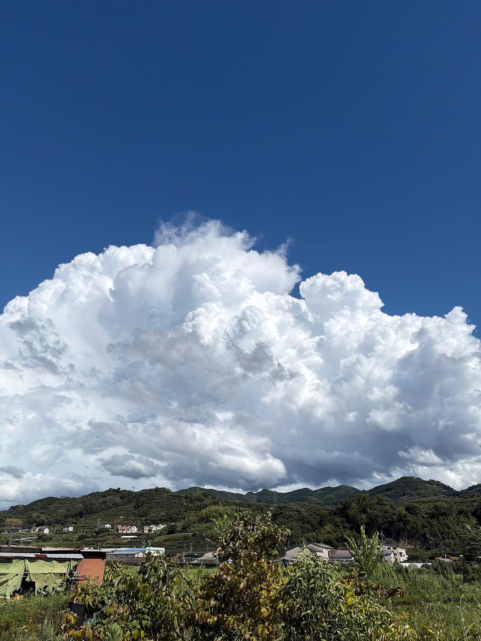 もくもく発達中 注目の空の写真 ウェザーニュース