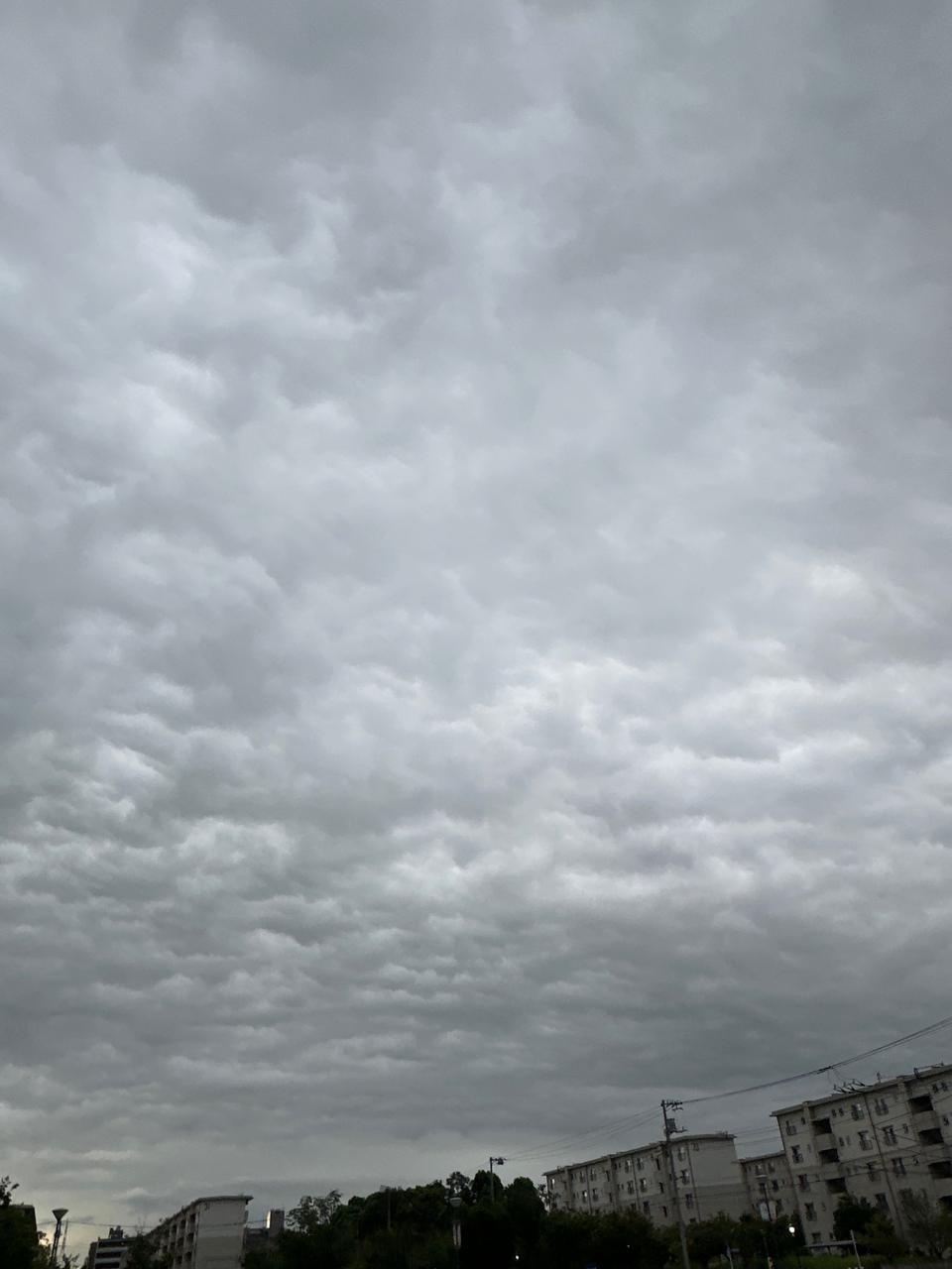 足立 区 雨