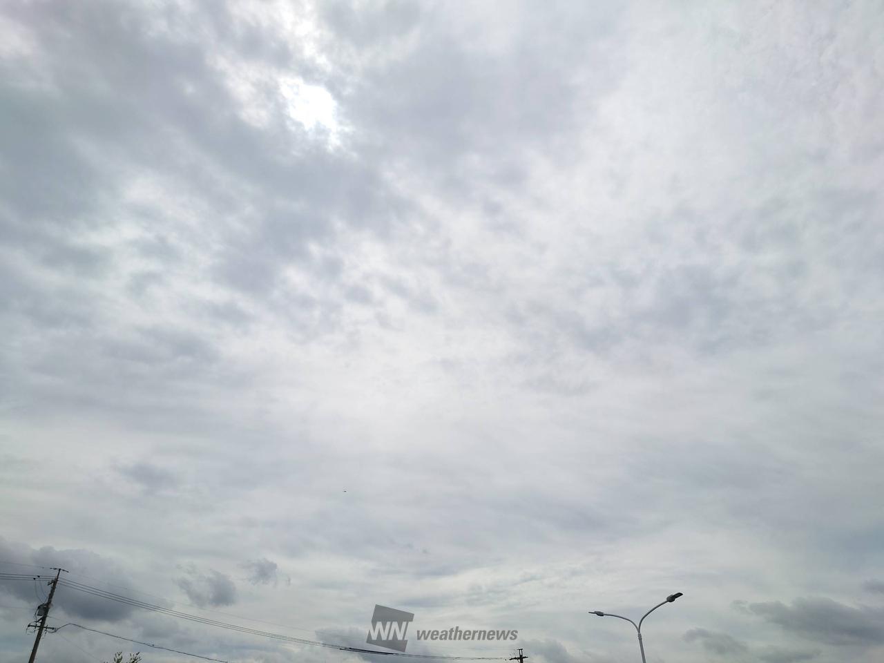 瑞穂 区 の 天気(02)