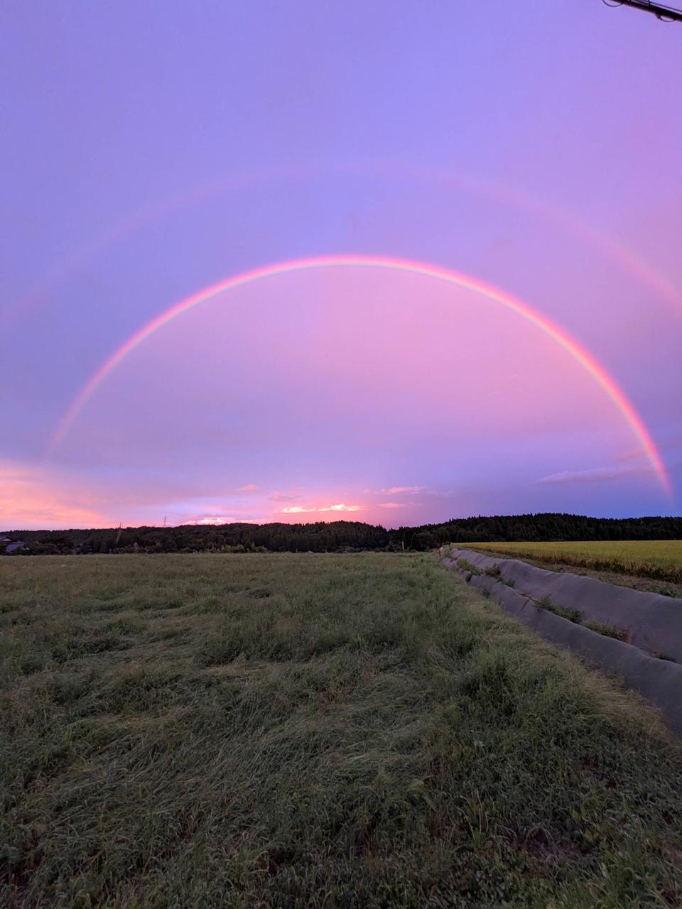嵐の間に虹架かる🌈 注目の空の写真 ウェザーニュース