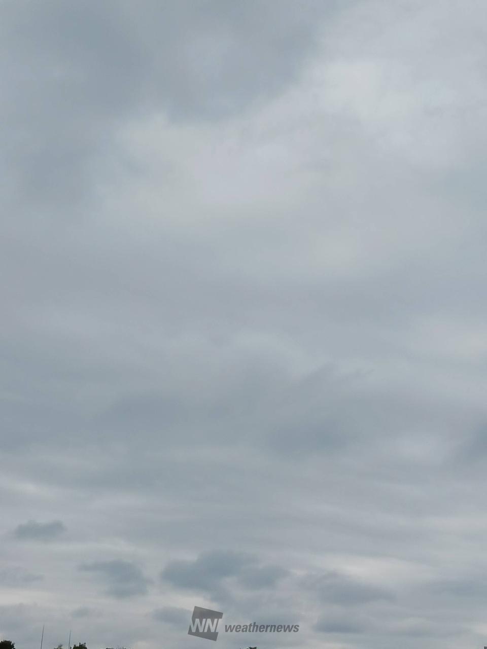 足立 区 雨