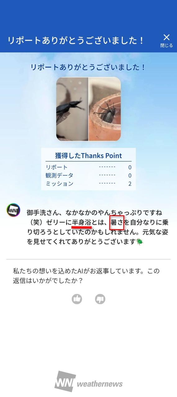 室内は25℃で快適なハズなので暑くはない | 埼玉県東松山市 | ちぃ