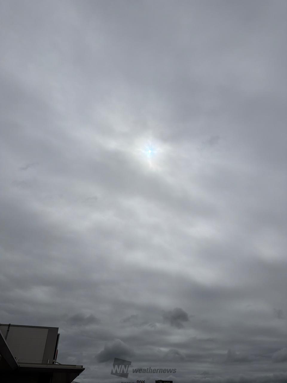 ウェザー ニュース 印西 市