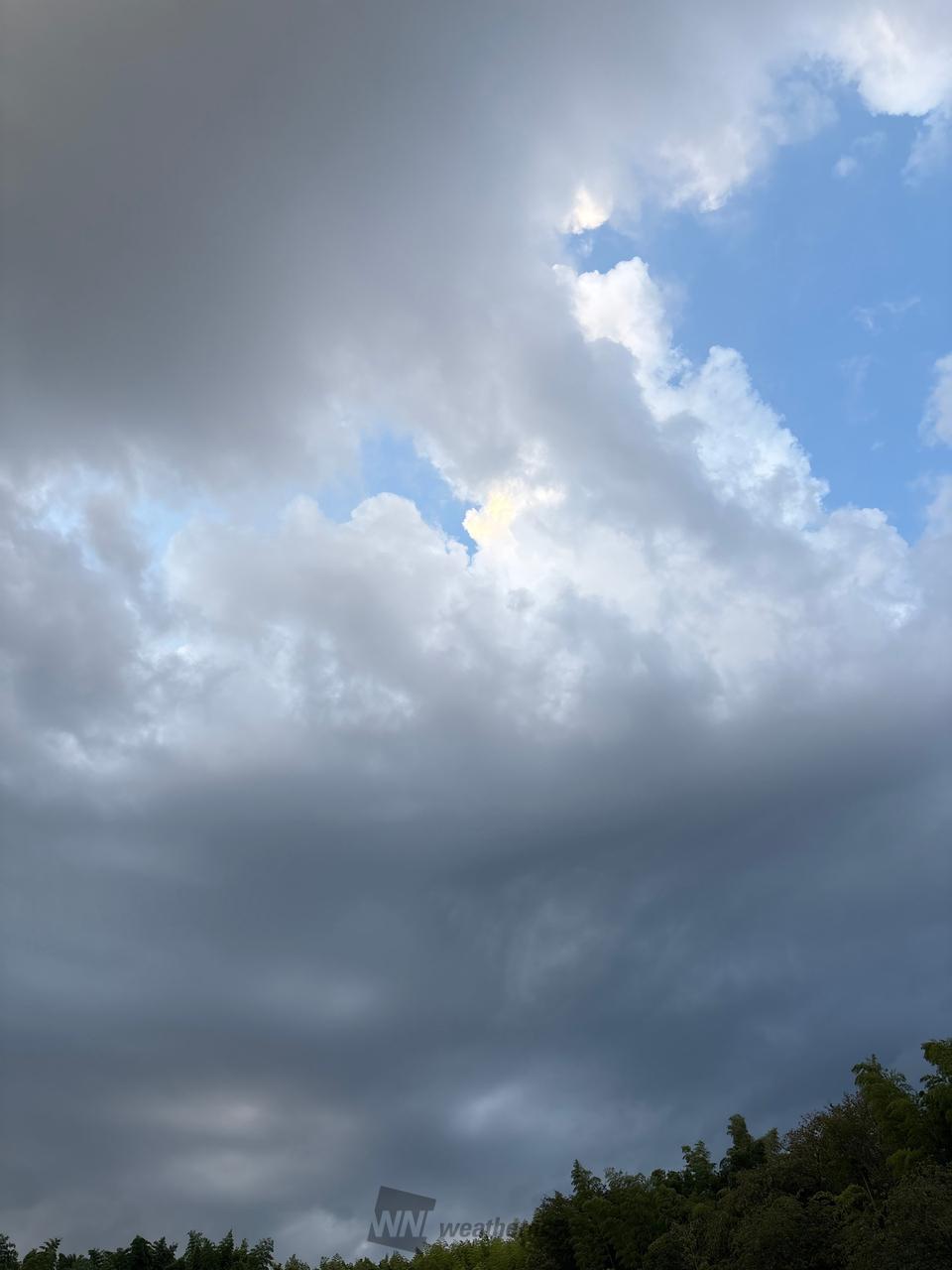 京都 市 西京 区 天気 予報