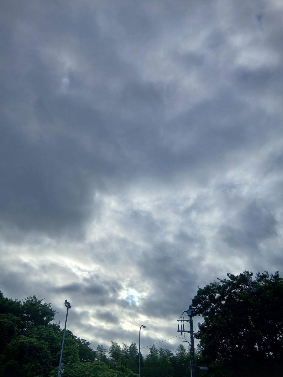 市 原市 天気