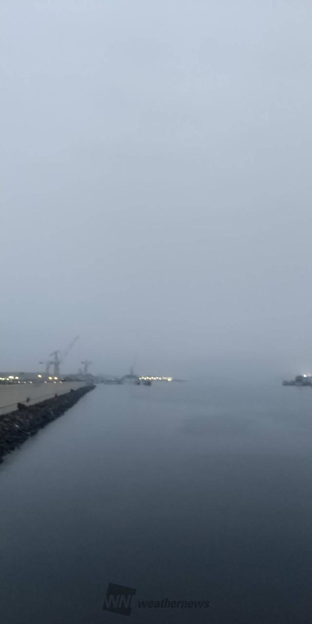おはようございます...
