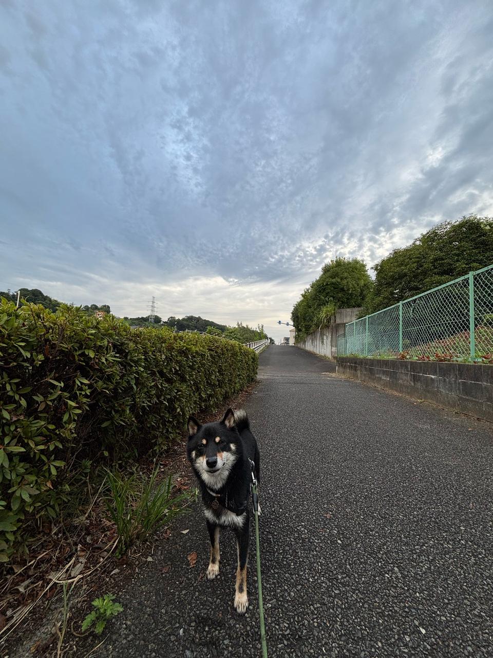 町田・鶴見川上流か...