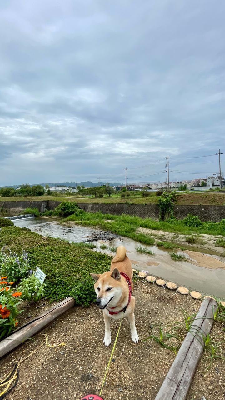 昨夜、停電を伴う大...