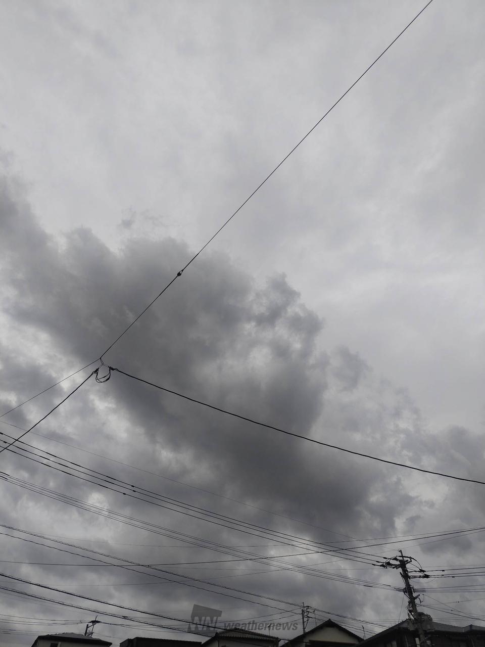 福岡 市東 区 明日 の 天気