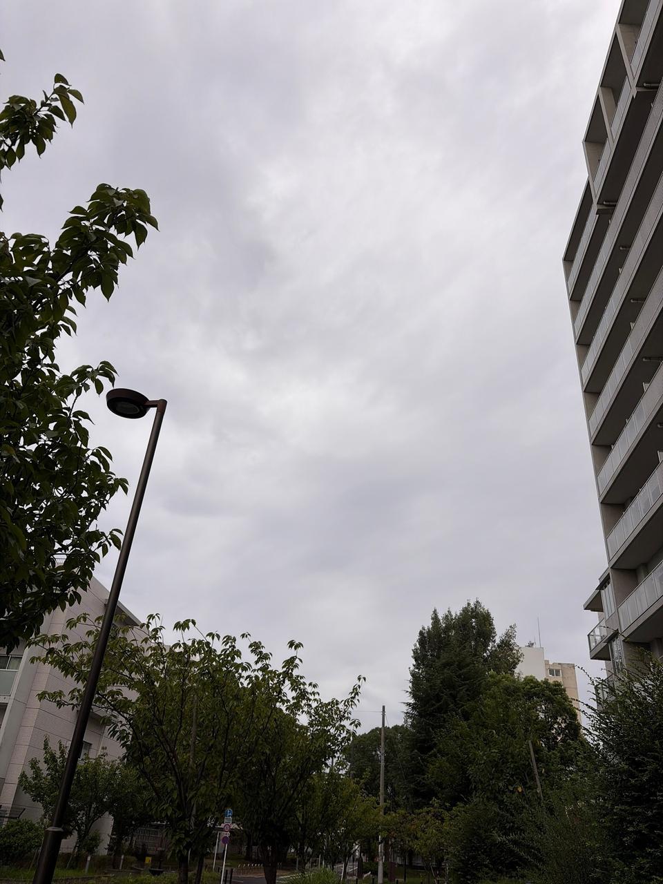 足立 区 雨