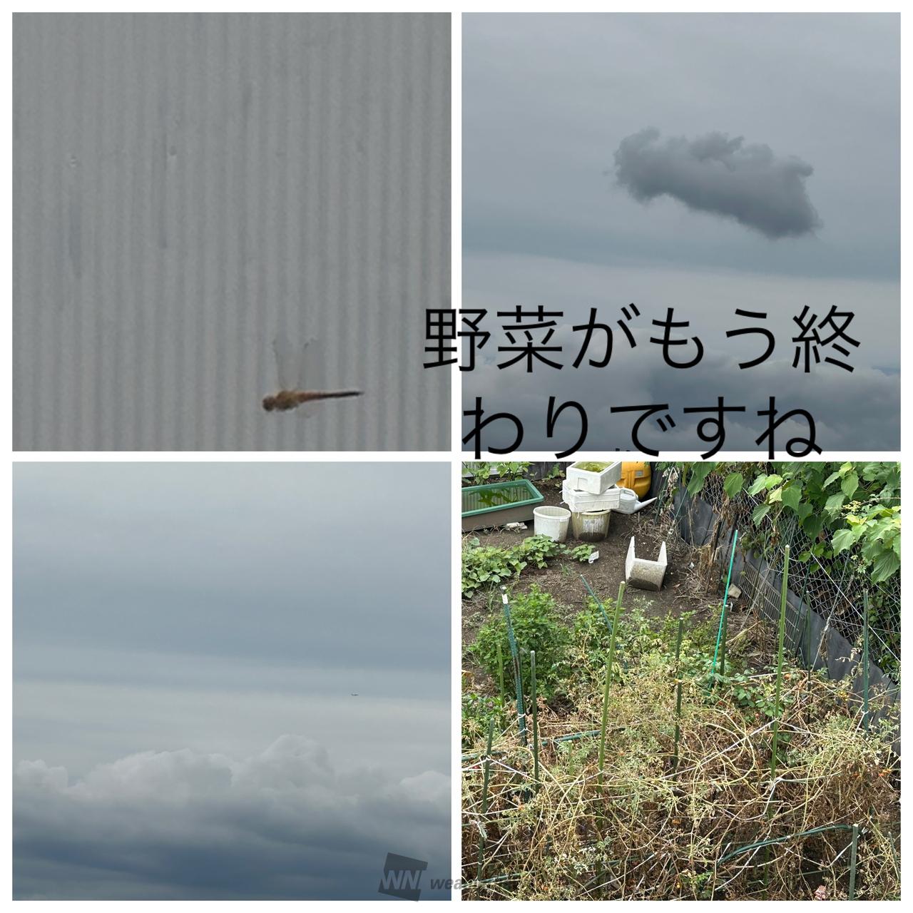 今日 の 天気 岸和田