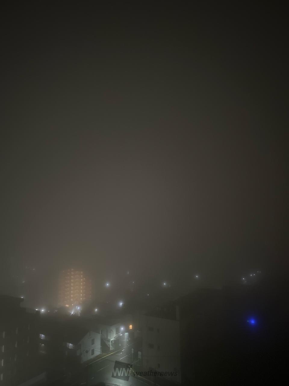すごい濃霧です。2...
