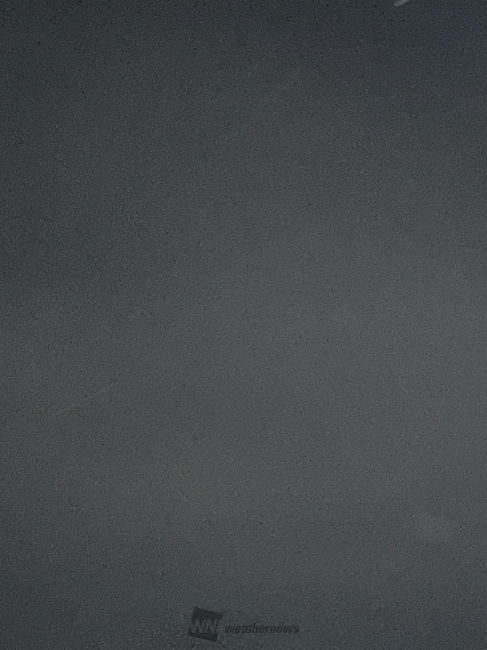 この時間帯でのお散...