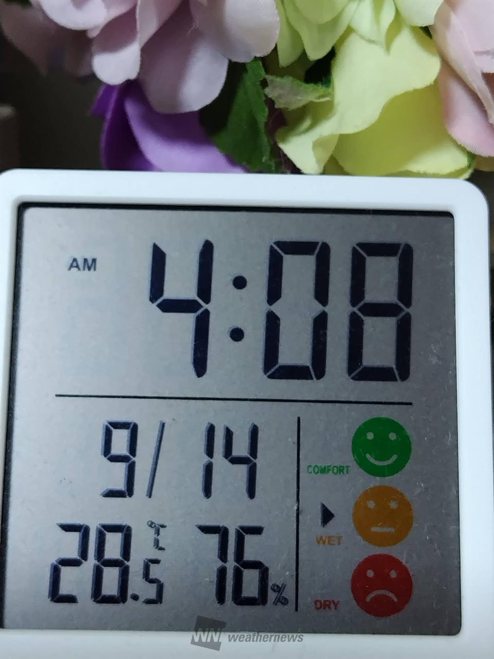 今朝もムシムシです...