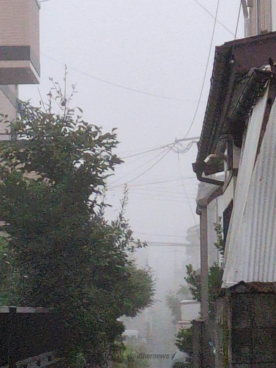 おはようございます...
